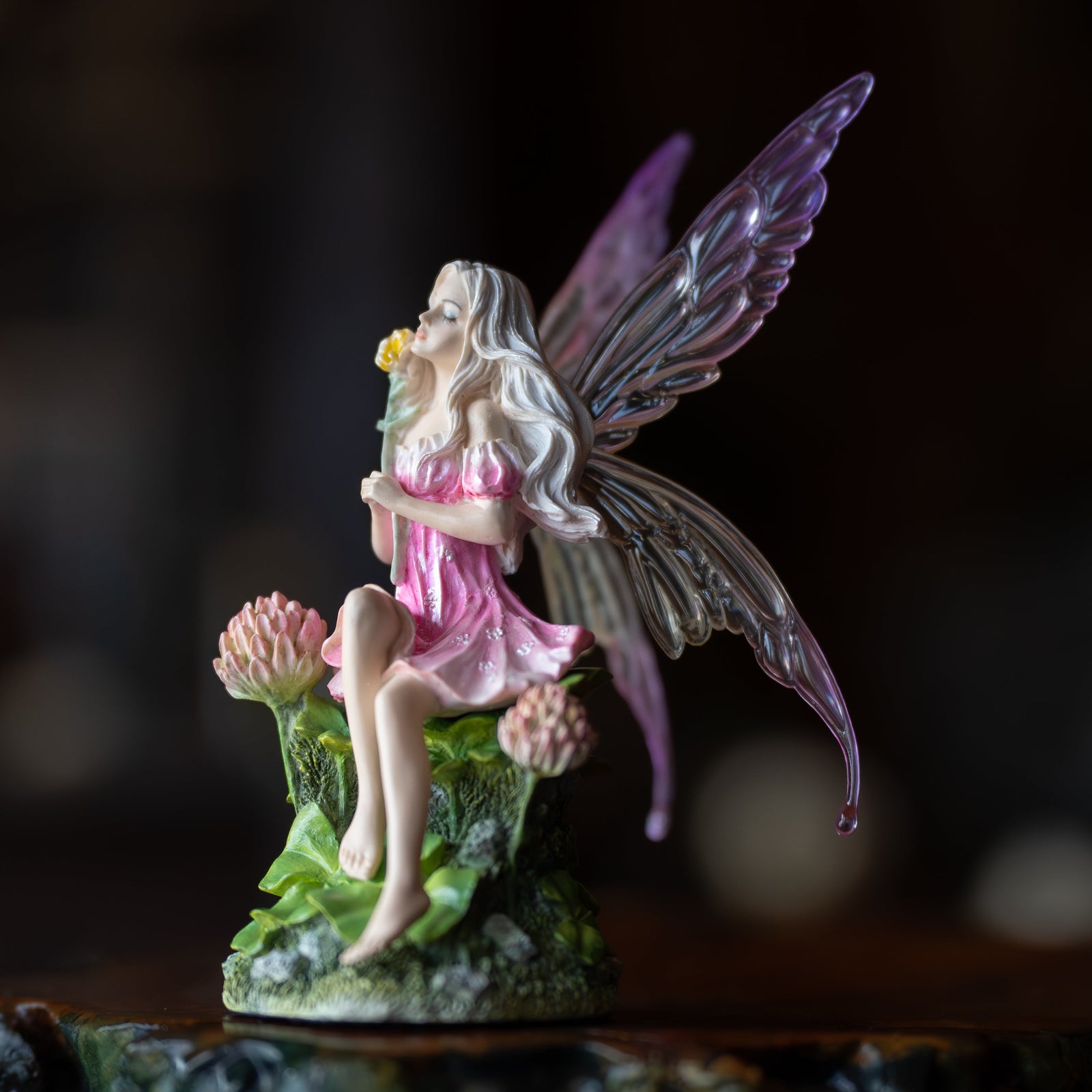 Pink Fairy & The Clovers