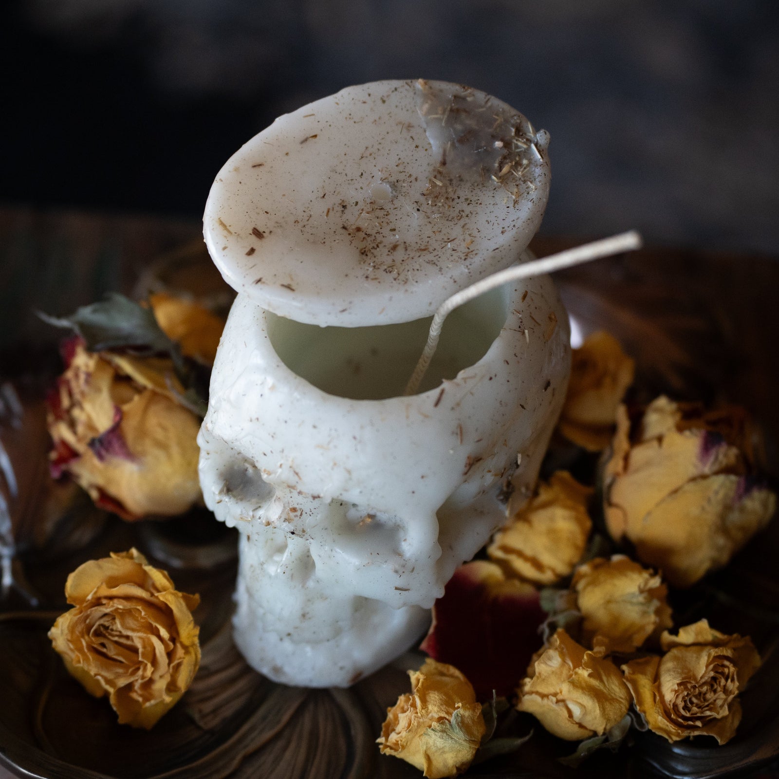 Dressed Vessel Candle (Skull)