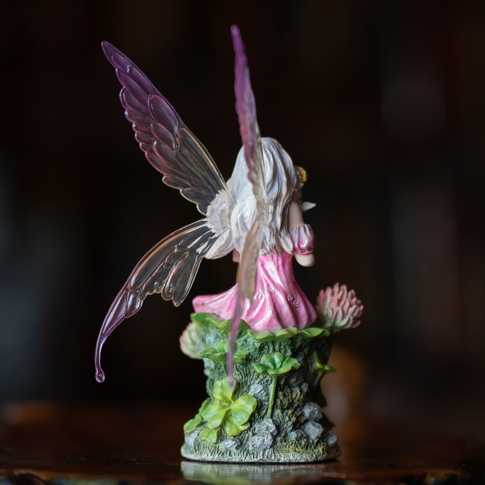 Pink Fairy & The Clovers
