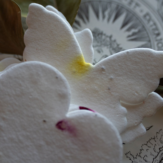 Plantable Wildflower Seed Papers