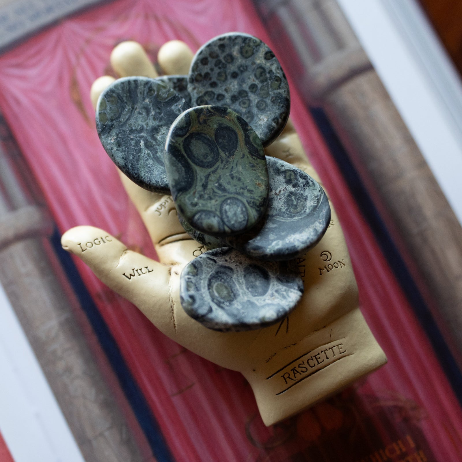 Kambaba Jasper Worry Stone
