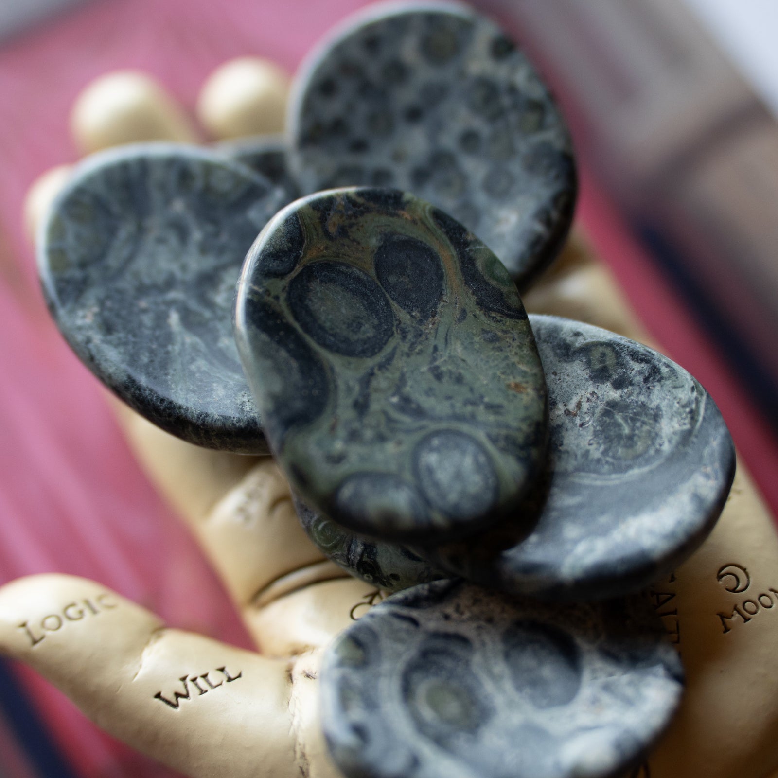 Kambaba Jasper Worry Stone