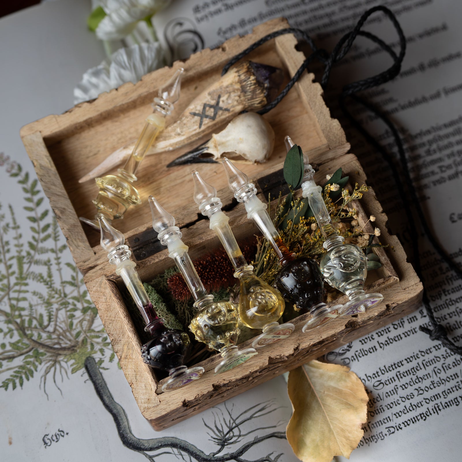 Natural Perfume Oil (Select Scent)