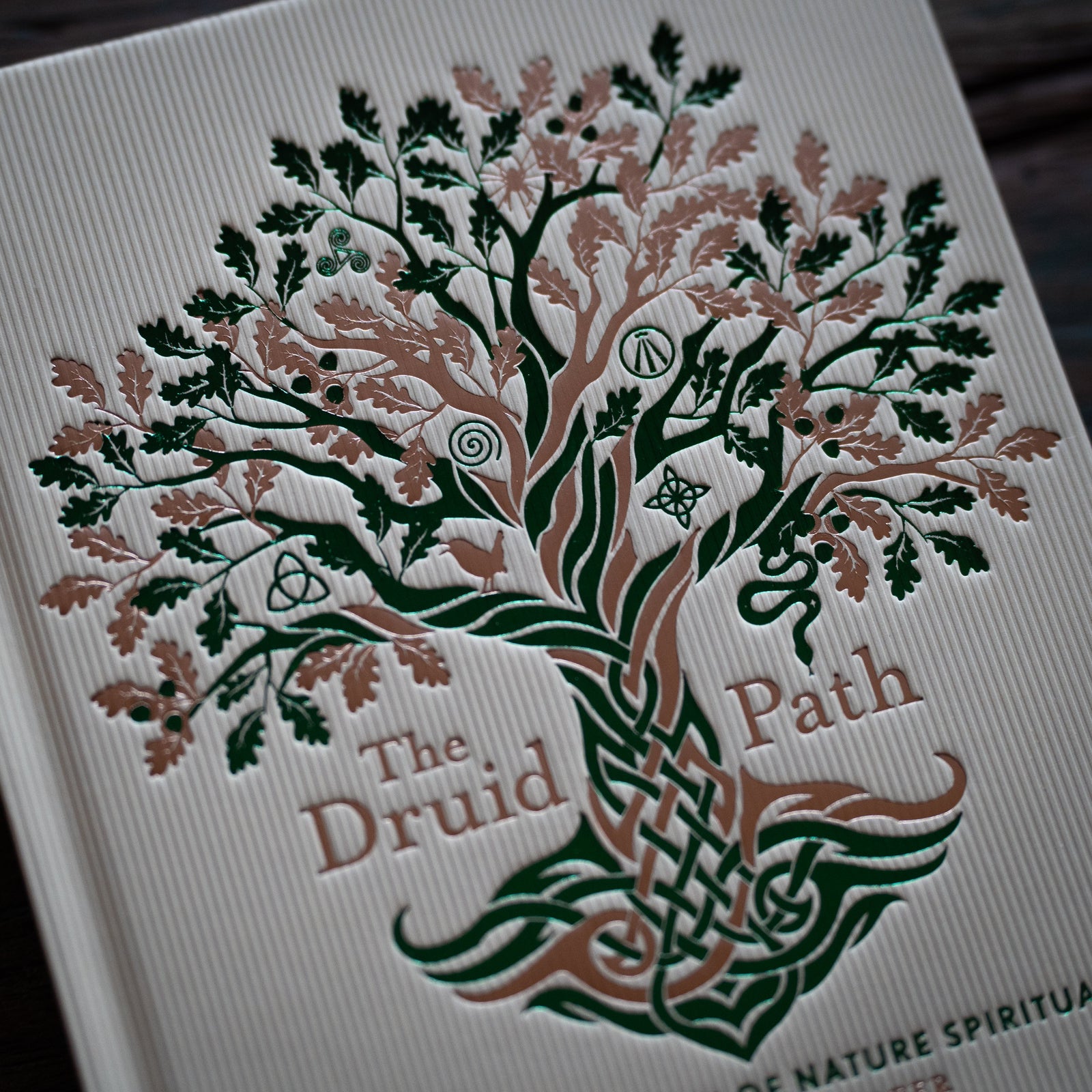 The Druid Path (Hardcover)