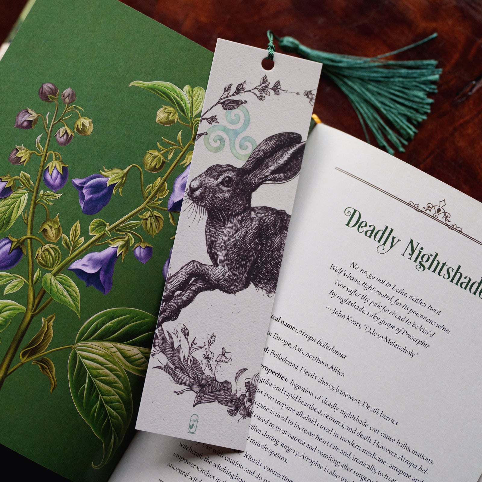 The Mystic Hare Bookmark