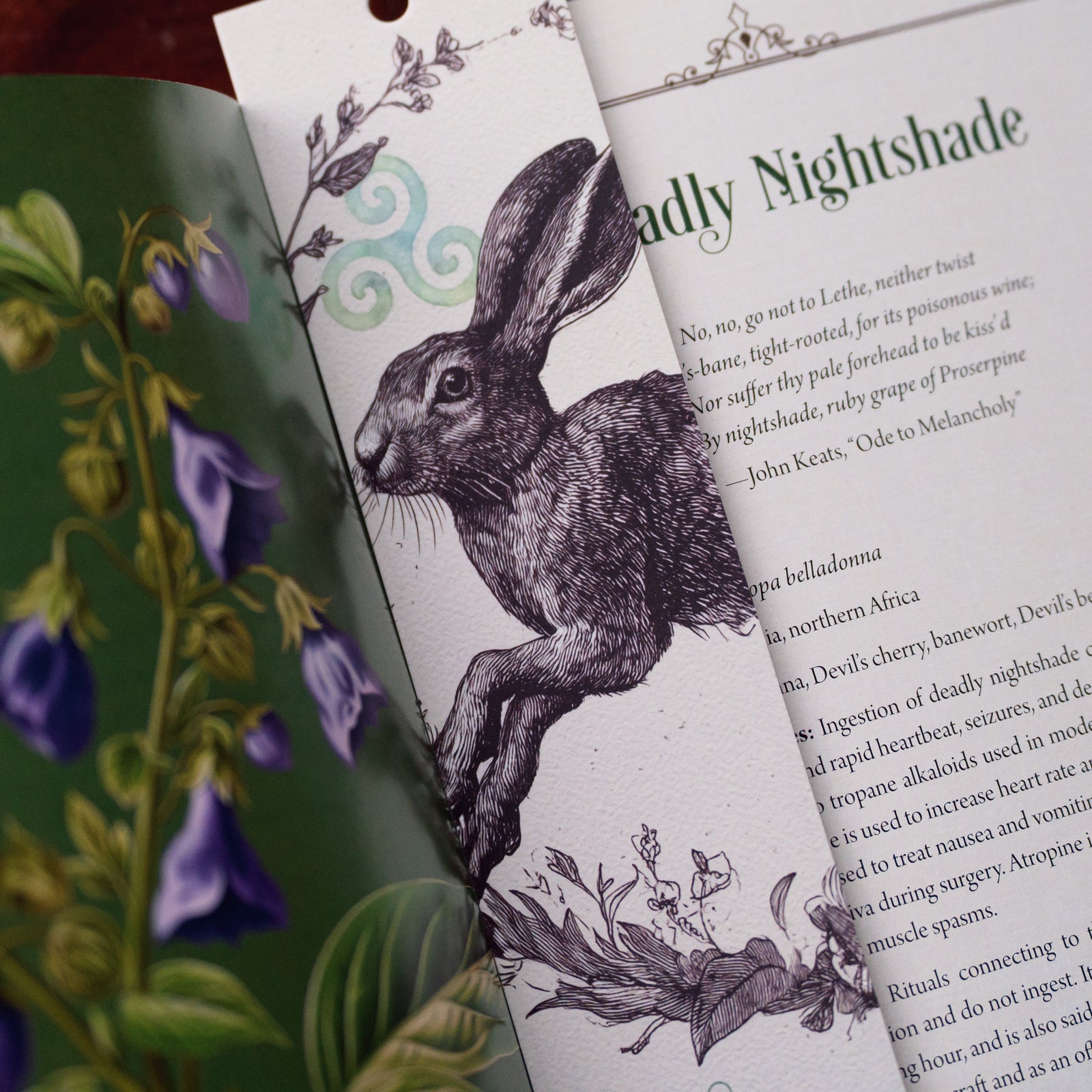 The Mystic Hare Bookmark