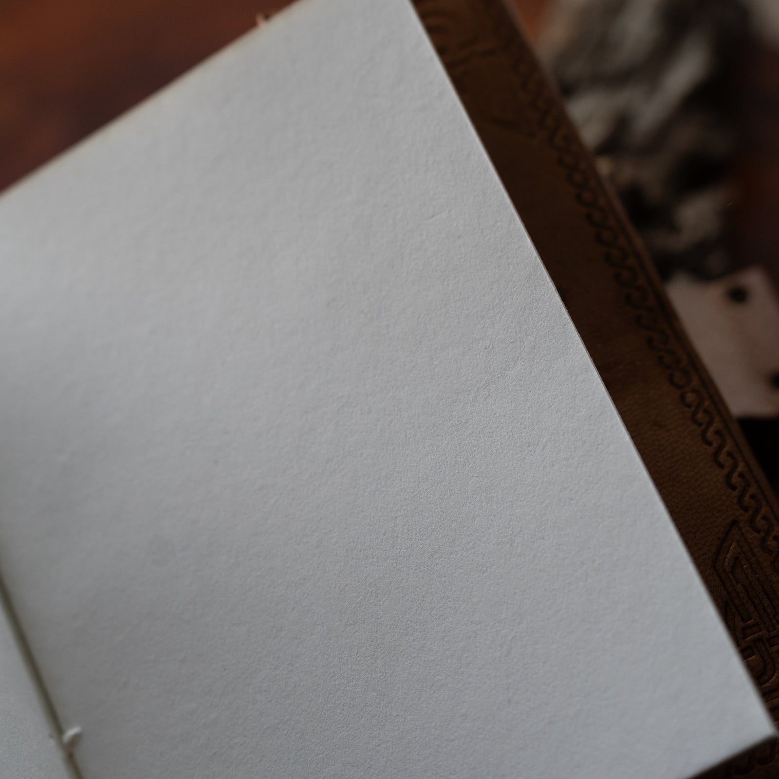 Triquetra Tree Leather Journal