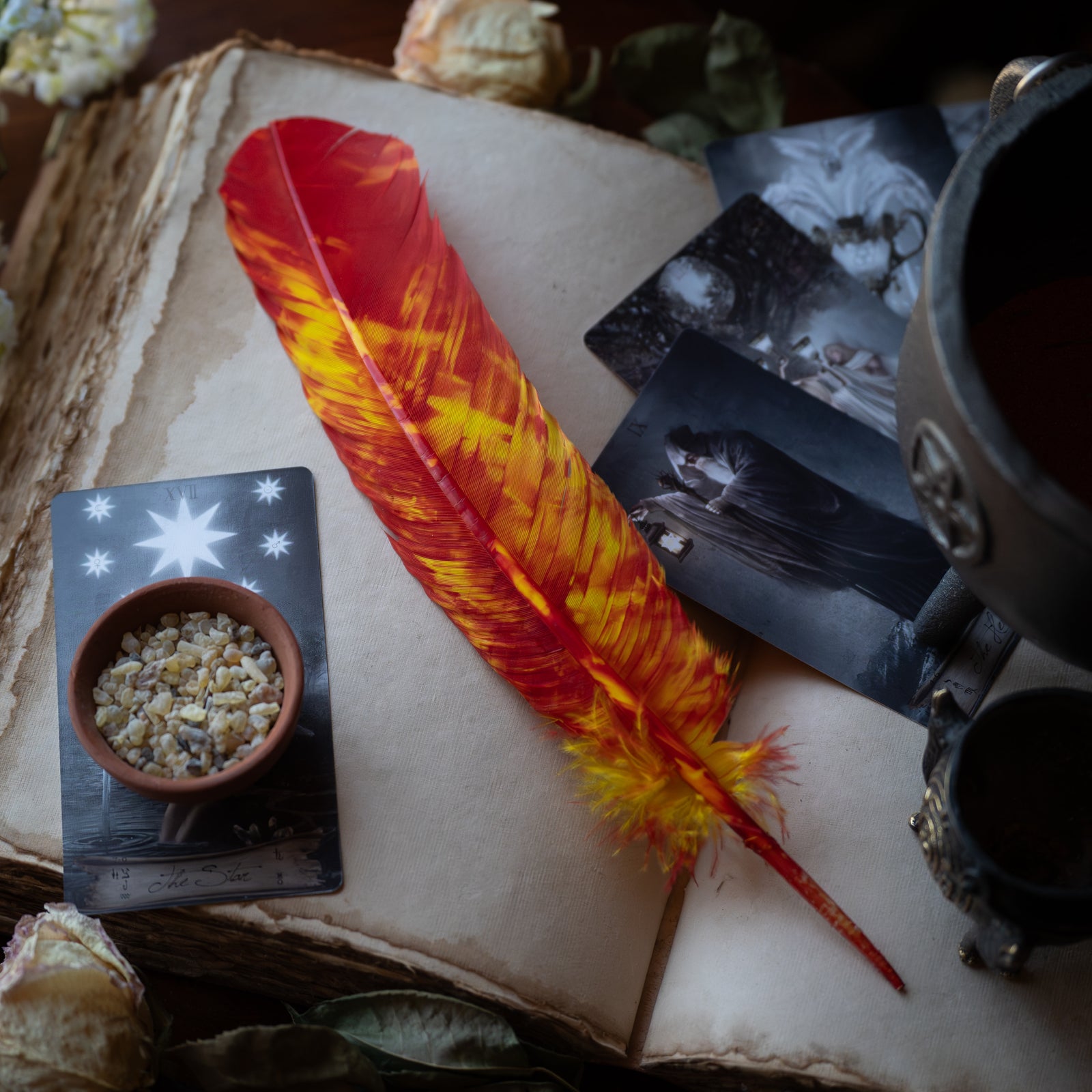 Red & Yellow Feather
