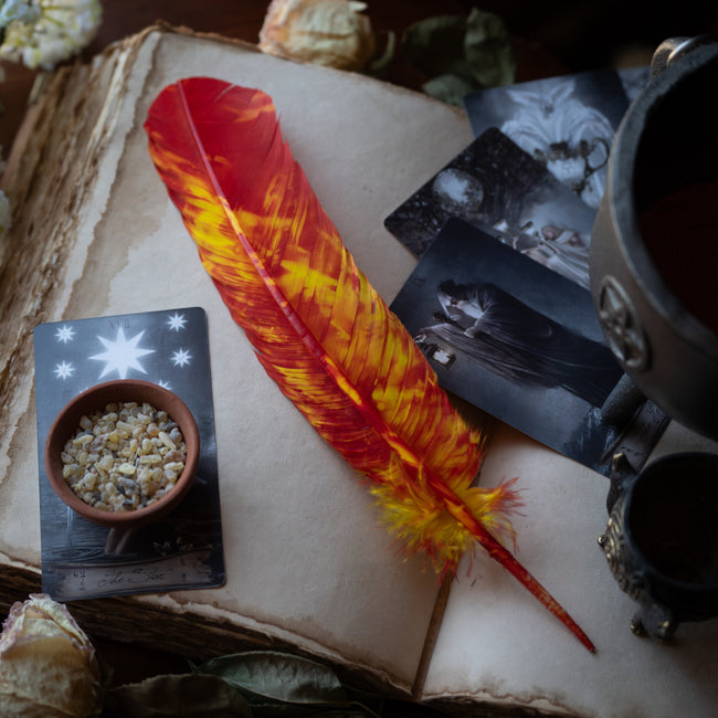 Red & Yellow Feather
