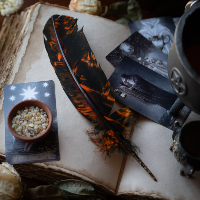 Smokey Orange Feather