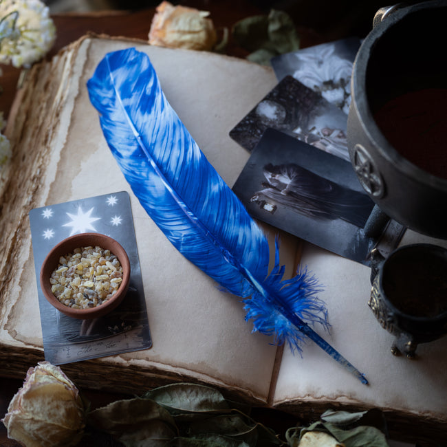 Blue & White Feather