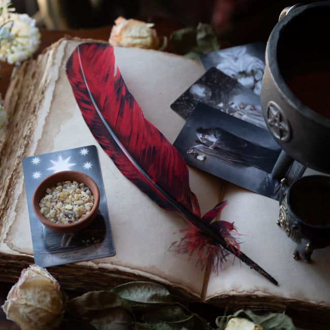 Smokey Red Feather