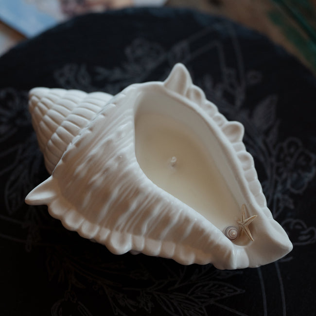Shell Candle