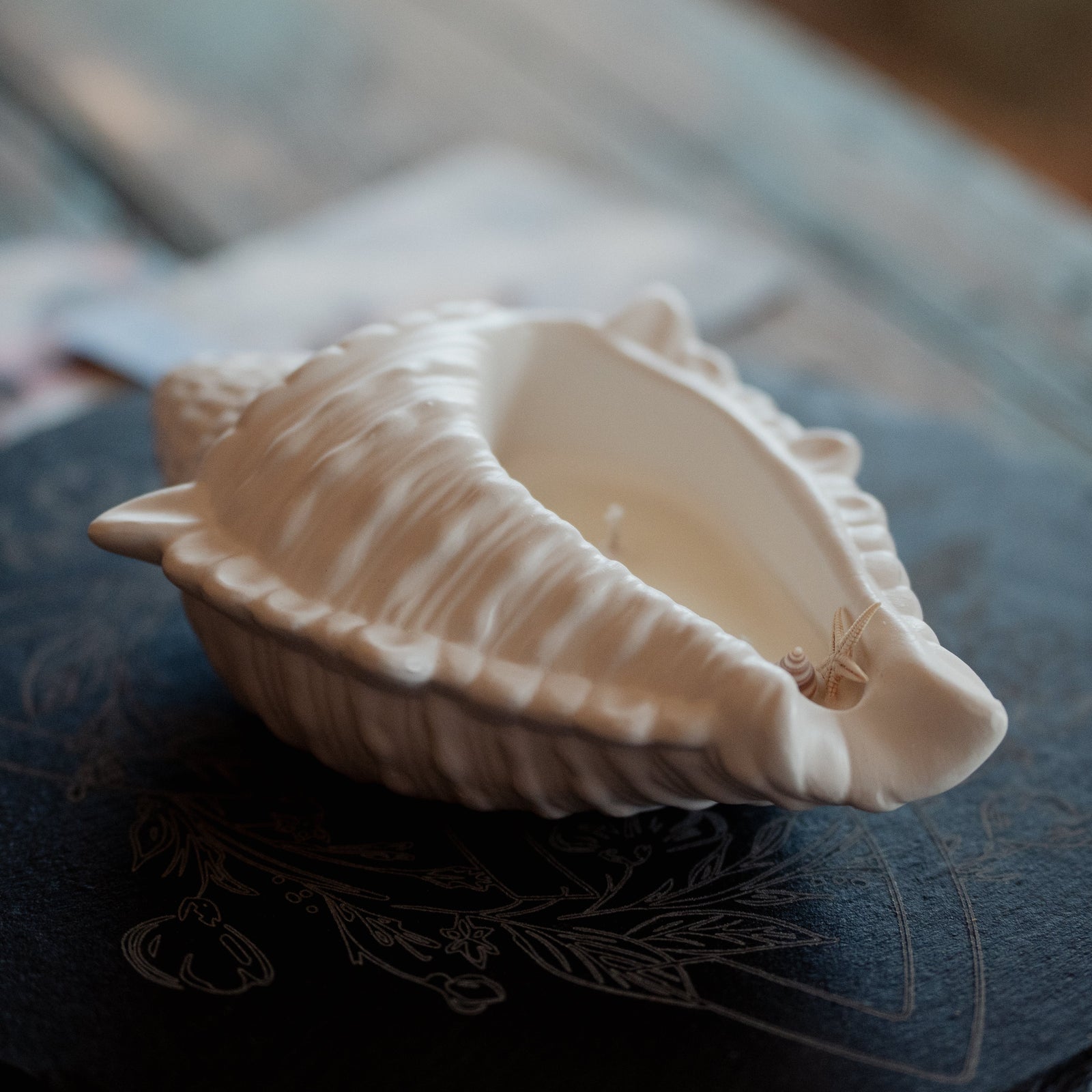 Shell Candle
