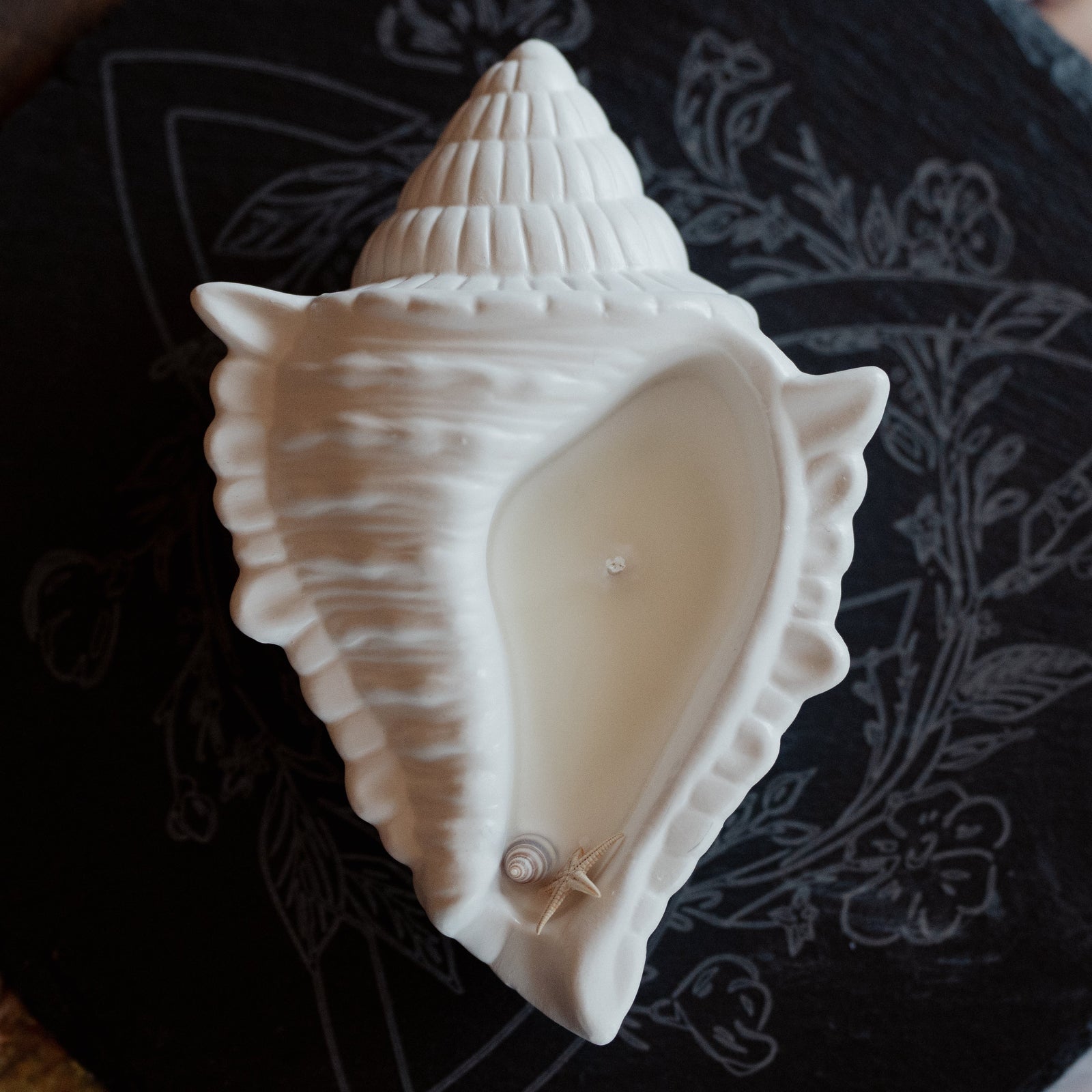 Shell Candle