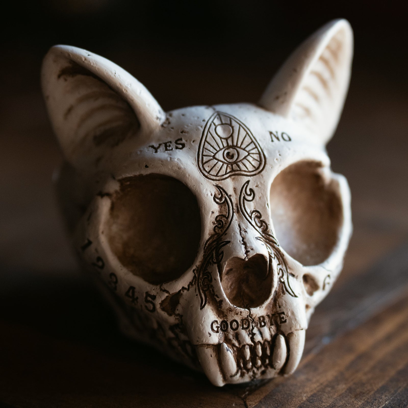 Spirit Cat Skull Dish/Ashtray