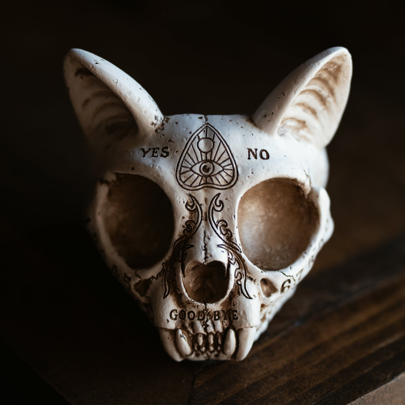 Spirit Cat Skull Dish/Ashtray