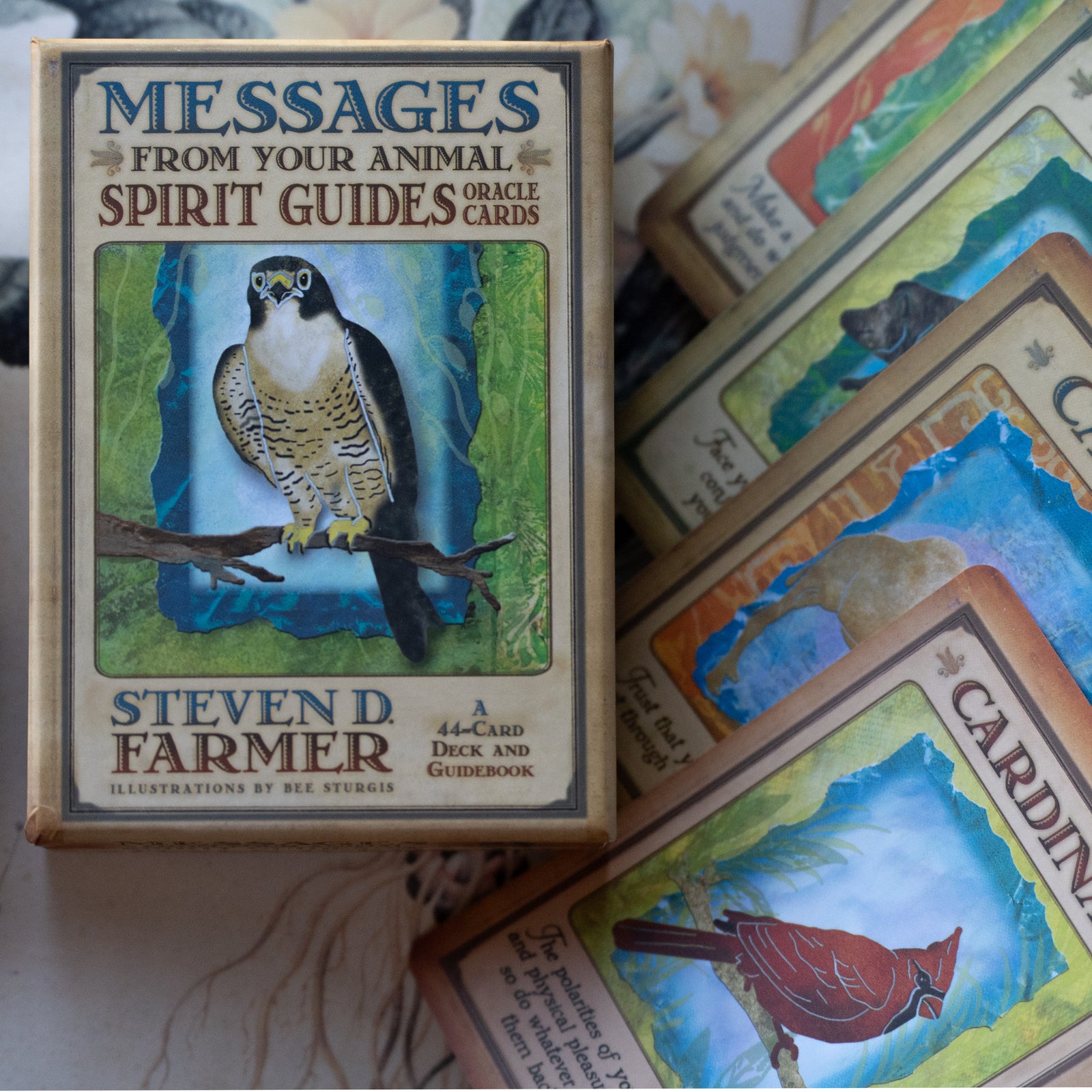 Animal Spirit Guides Oracle Cards