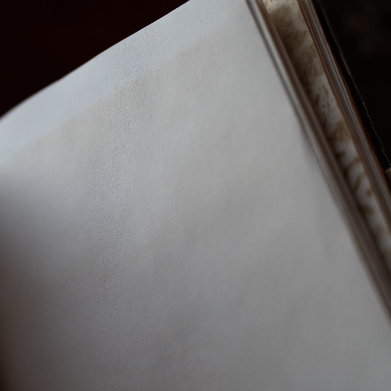 Handmade Book of Shadows (Exclusive)