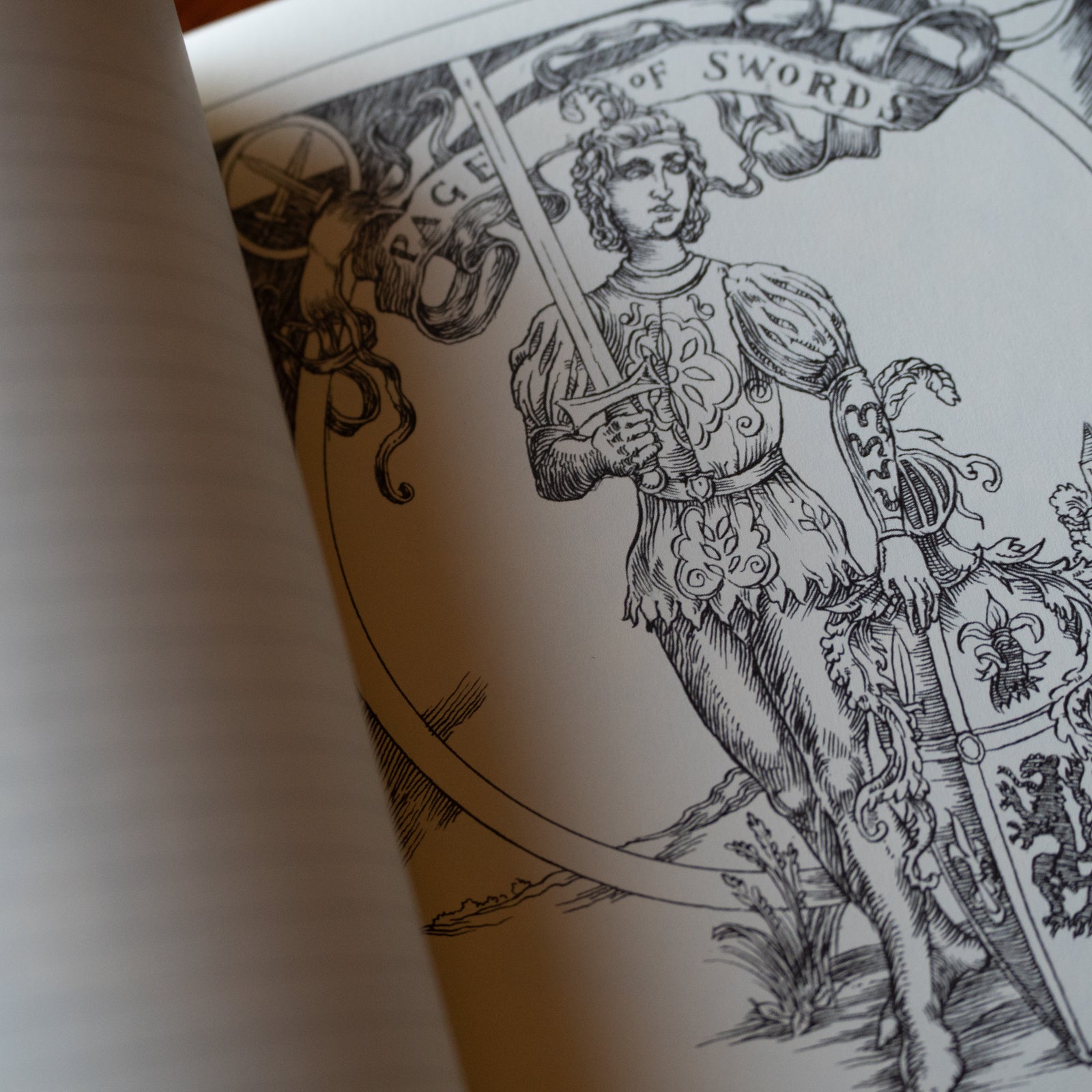Tarot Journal & Coloring Book