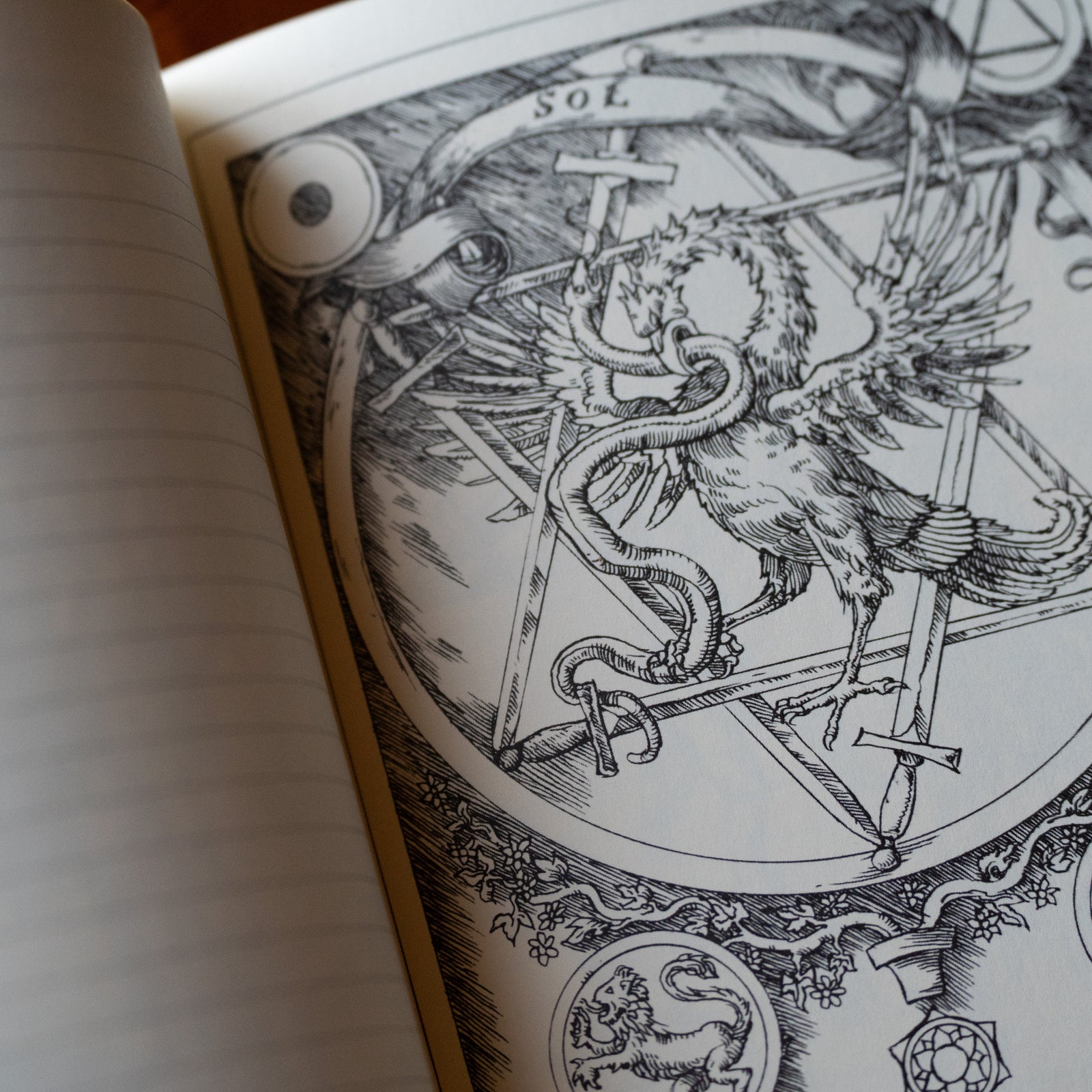 Tarot Journal & Coloring Book