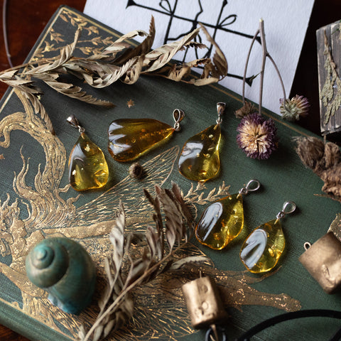 Desiccation BOS Artwork