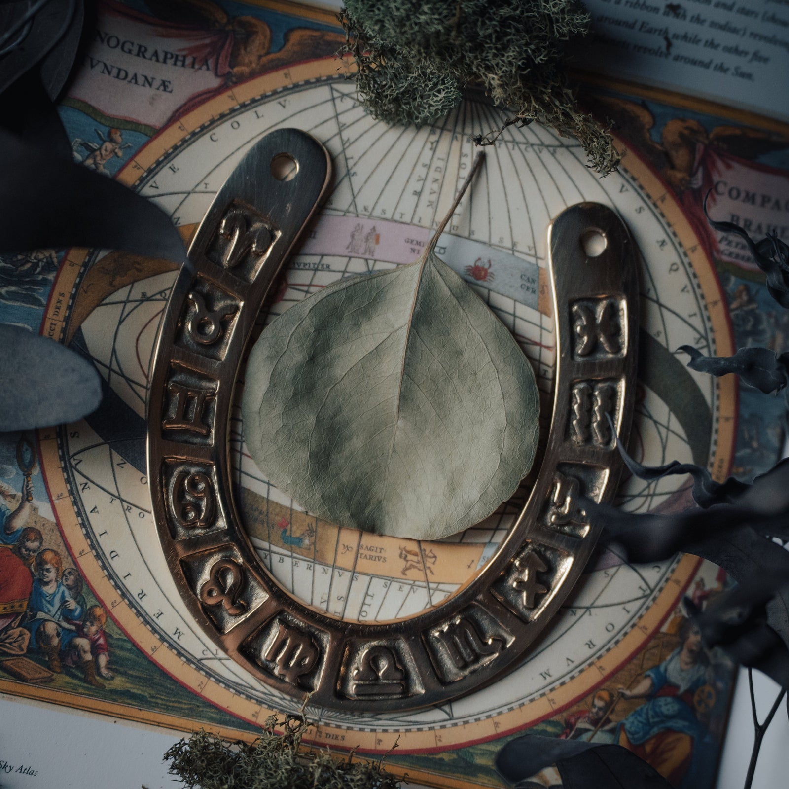 Zodiac Brass Horse Shoe