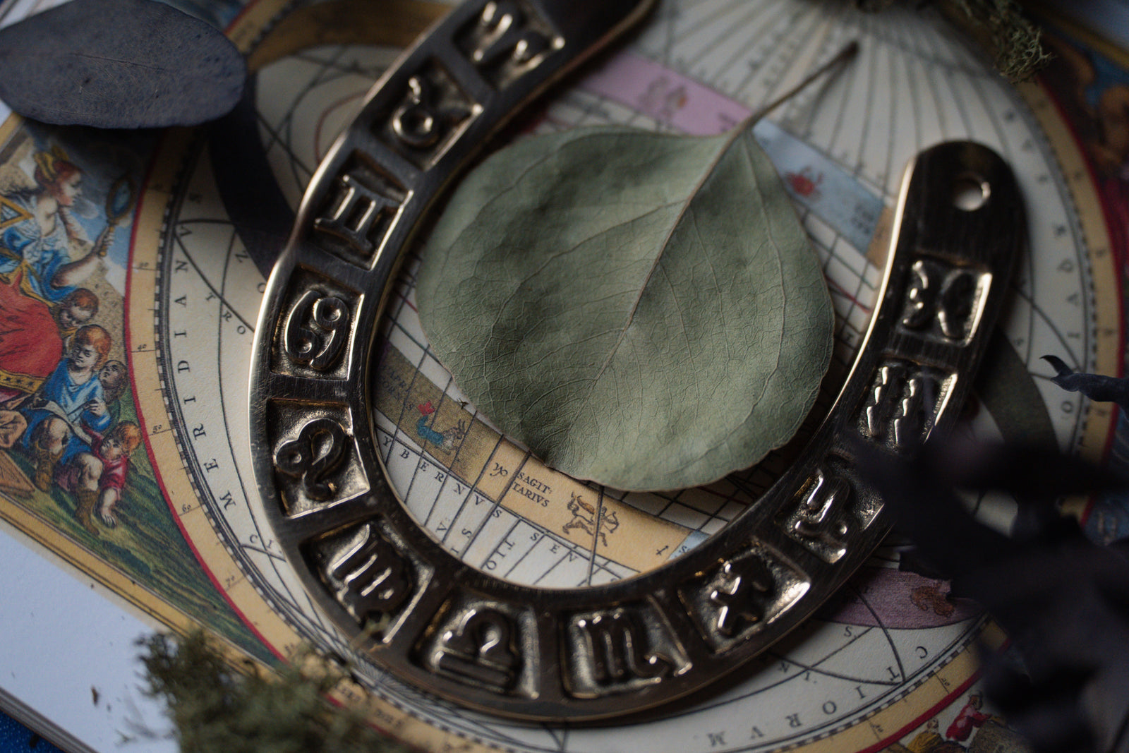 Zodiac Brass Horse Shoe