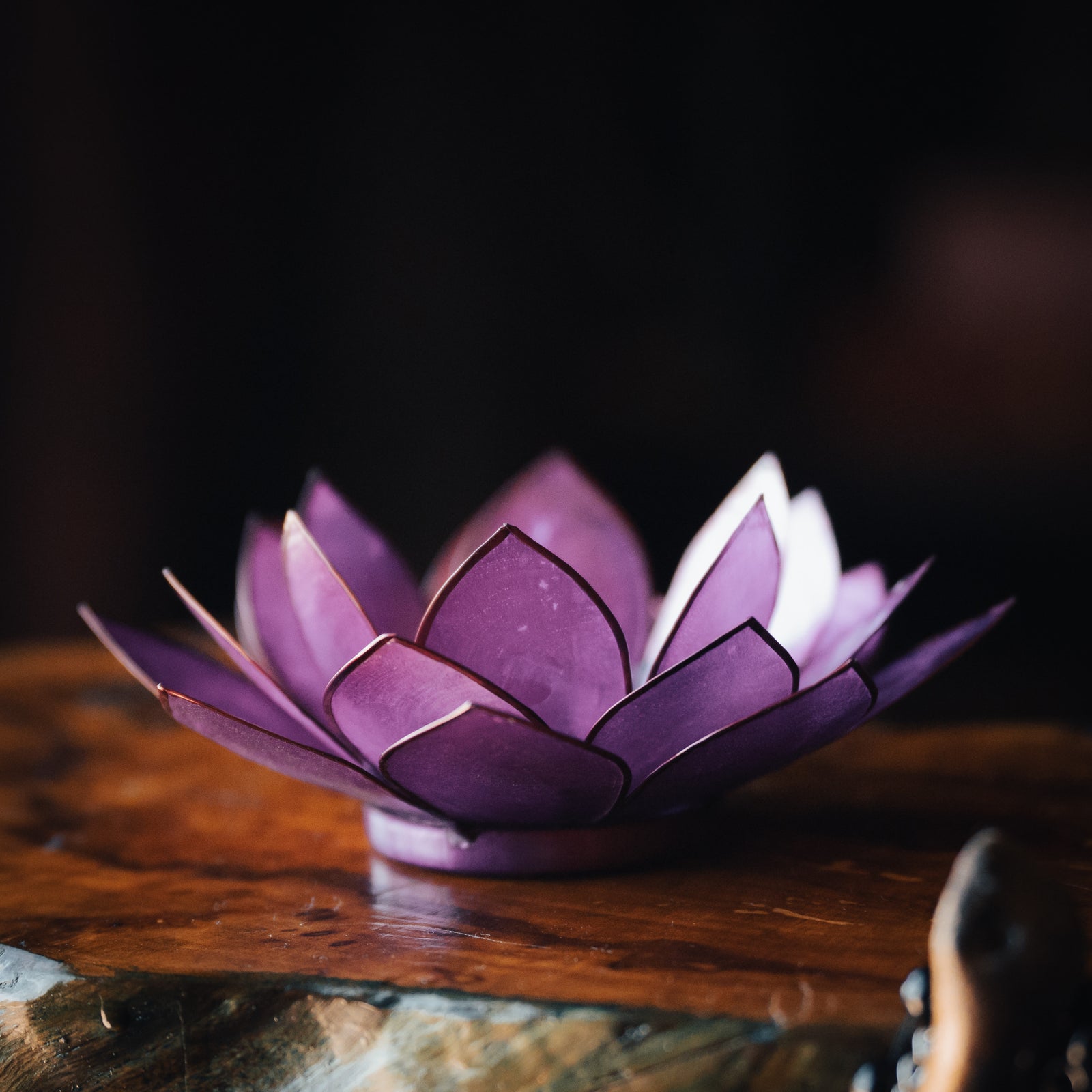 Copiz Shell Tea Light Holder