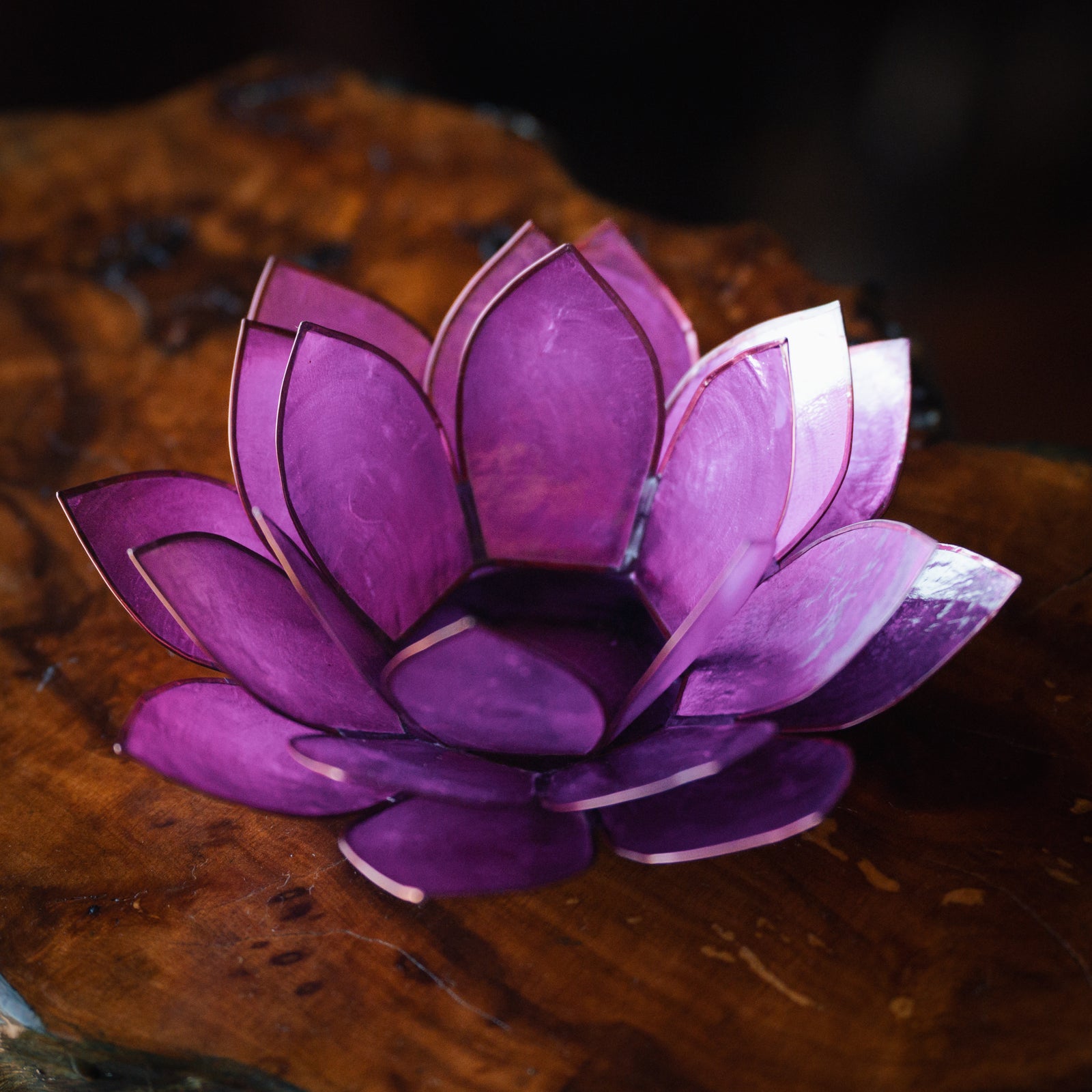 Copiz Shell Tea Light Holder