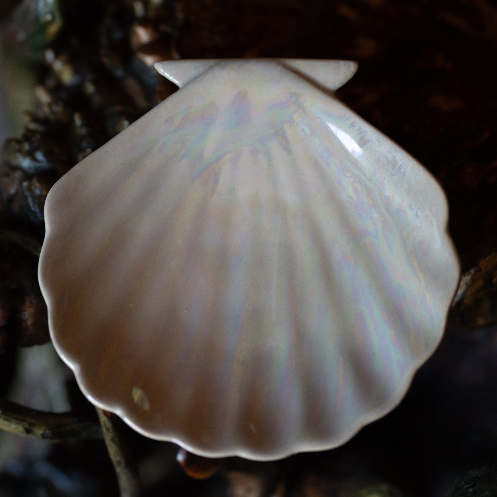 Iridescent Shell Offering Tray