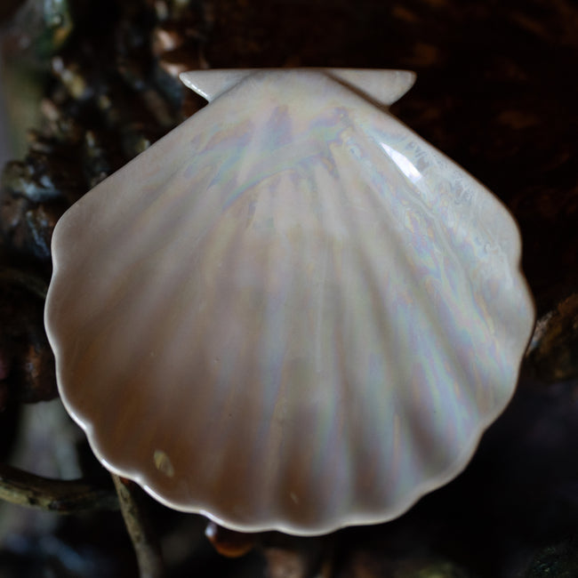 Iridescent Shell Offering Tray