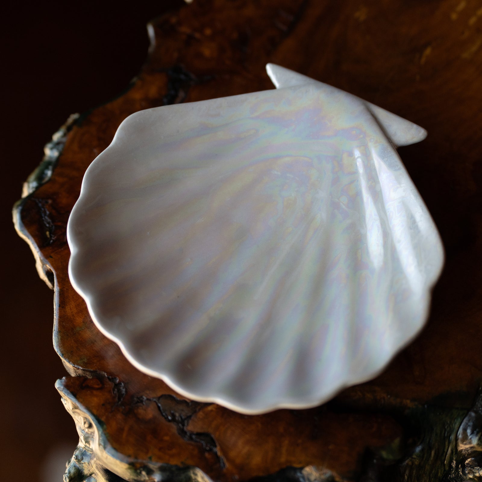 Iridescent Shell Offering Tray