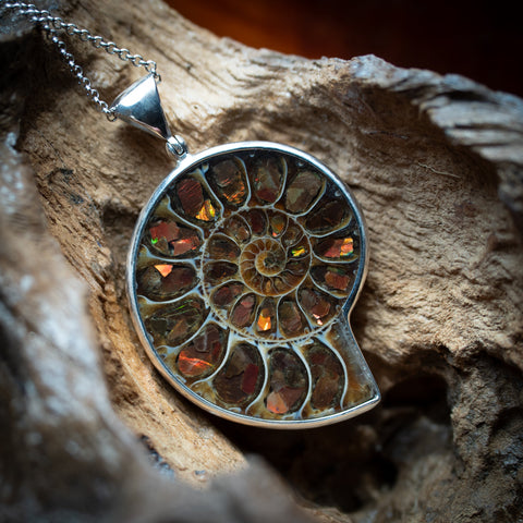 Timor Ammonite Pendant (.925 Silver)