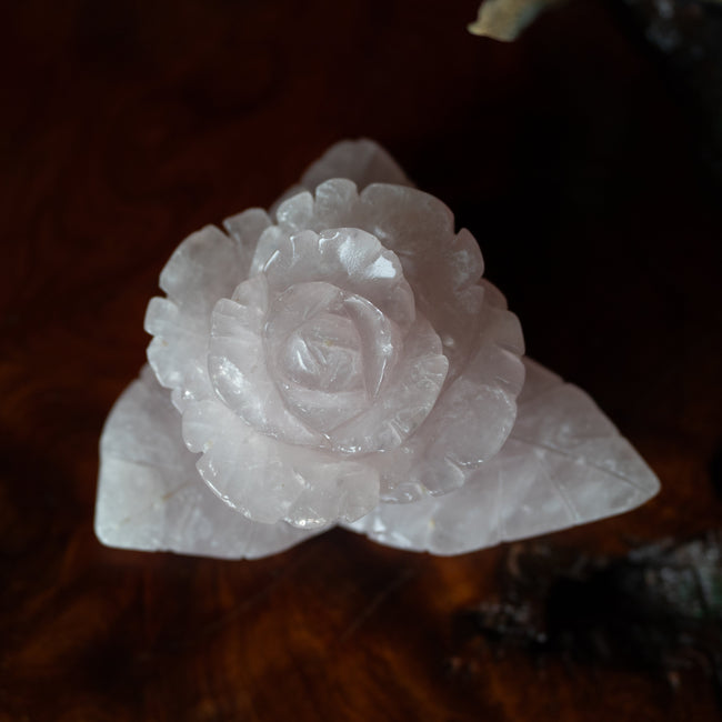 Rose Quartz Carved Rose