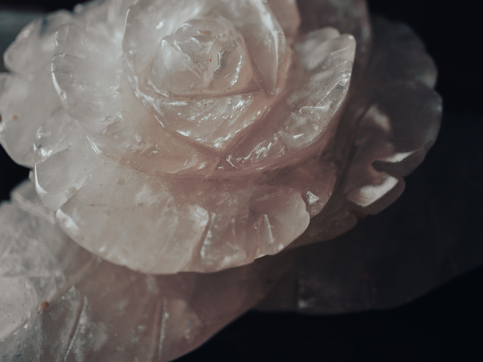 Rose Quartz Carved Rose