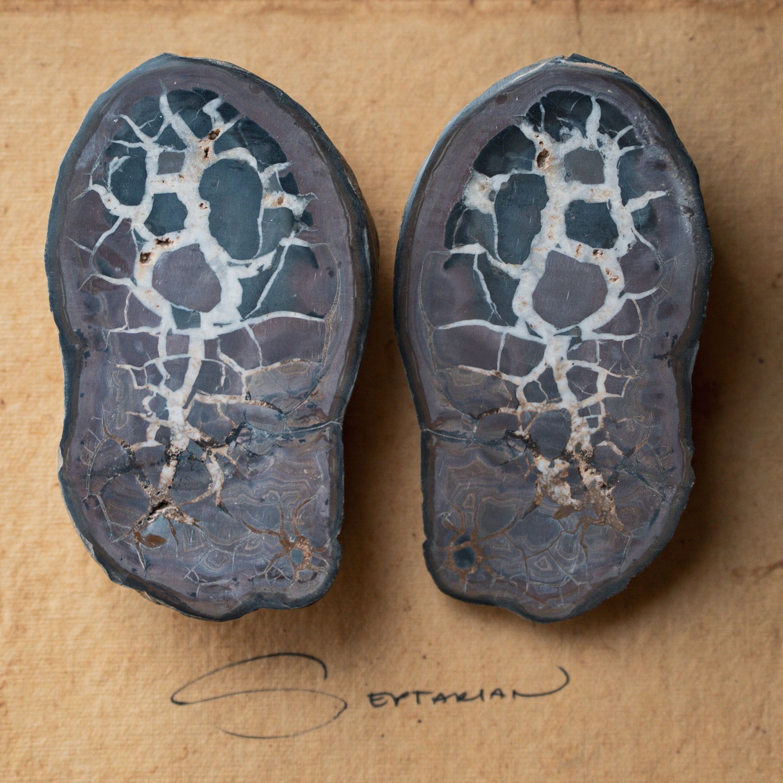 Septarian Stone Pair