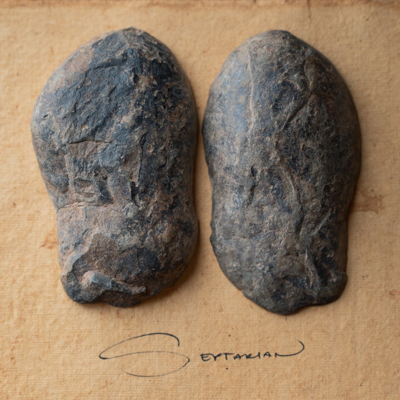 Septarian Stone Pair