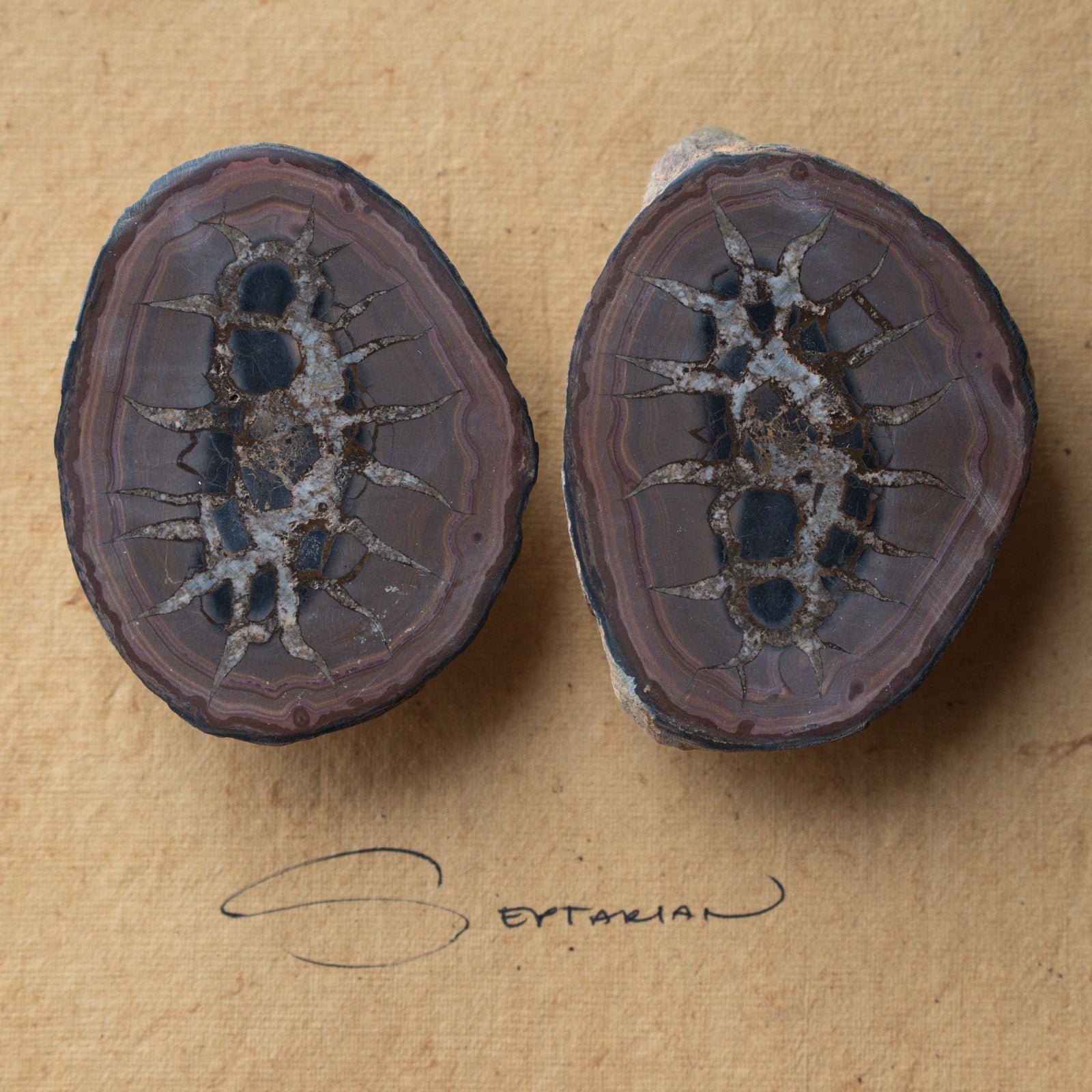 Septarian Stone Pair