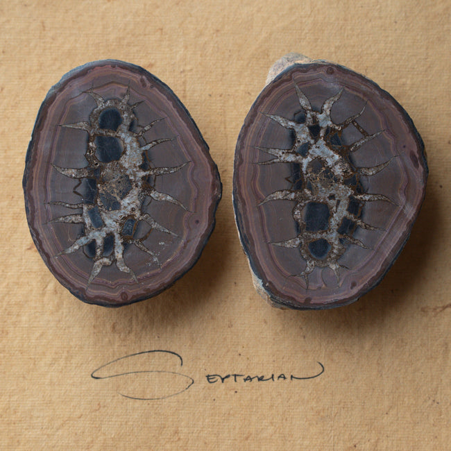 Septarian Stone Pair