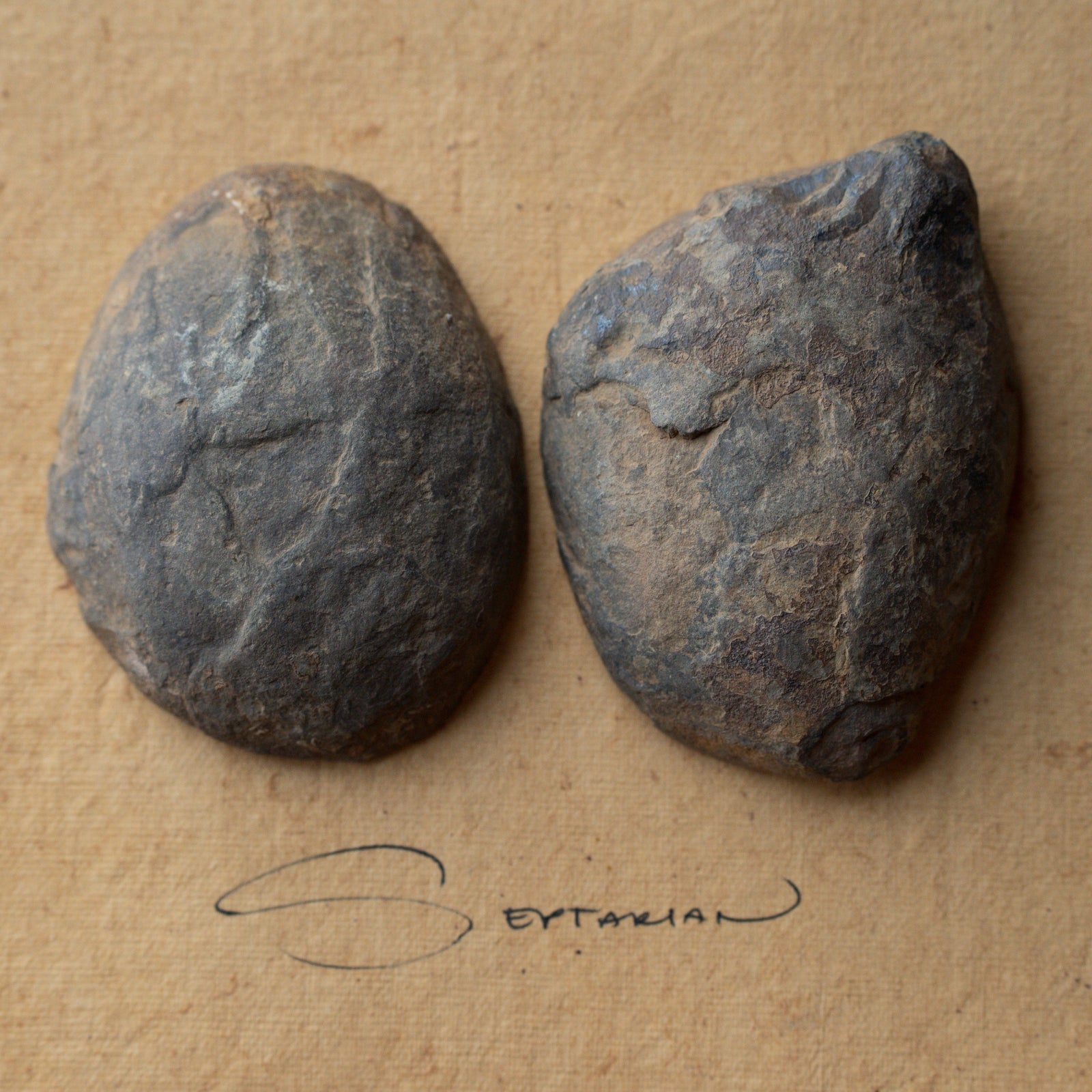 Septarian Stone Pair