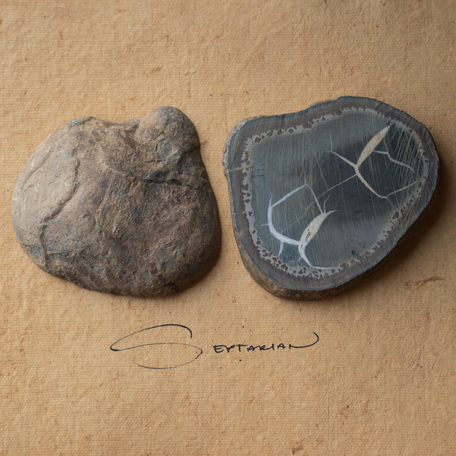 Septarian Stone Pair