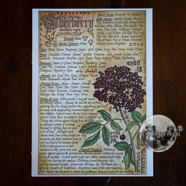 Elderberry Book of Shadows Artwork