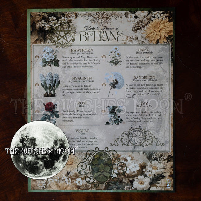 Herbs & Flowers of Beltane Book of Shadows Artwork