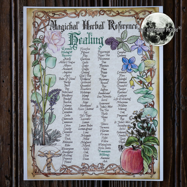 Magickal Herbal Reference Book of Shadows Artwork