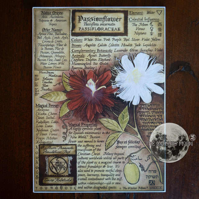 Passionflower Book of Shadows Artwork