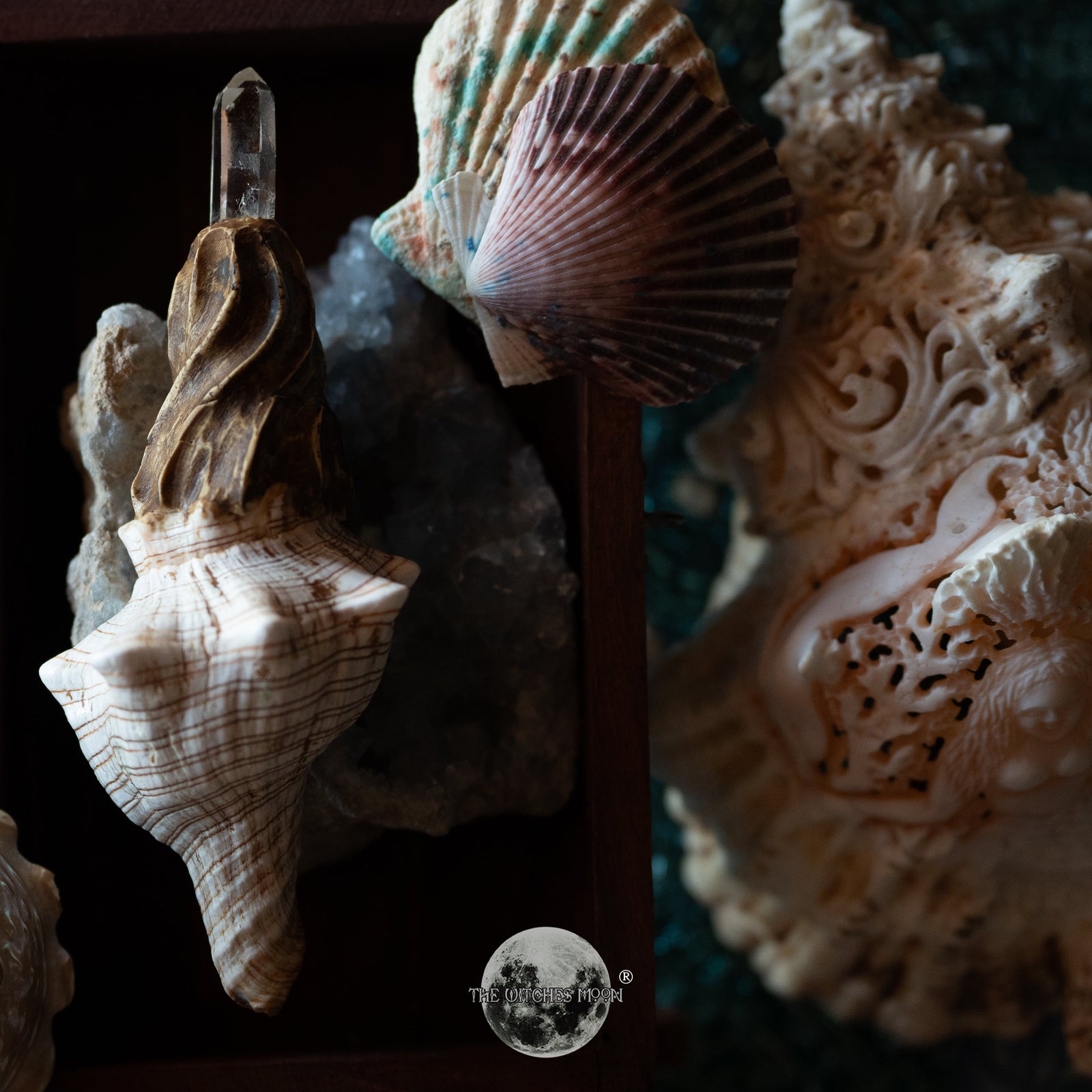 (Vault) Exclusive Shell Wand – www.thewitchesmoon.com