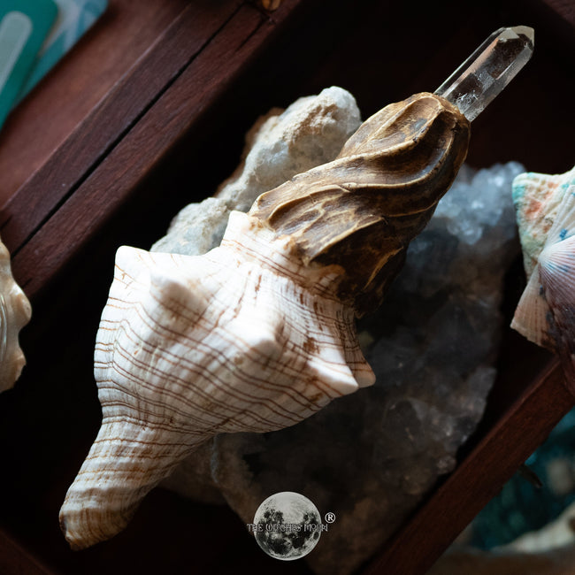 Wands – www.thewitchesmoon.com