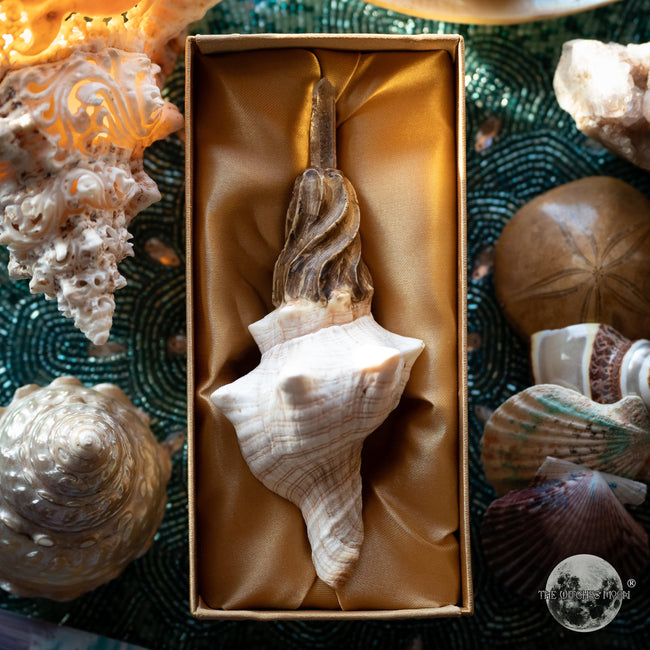 Wands – www.thewitchesmoon.com