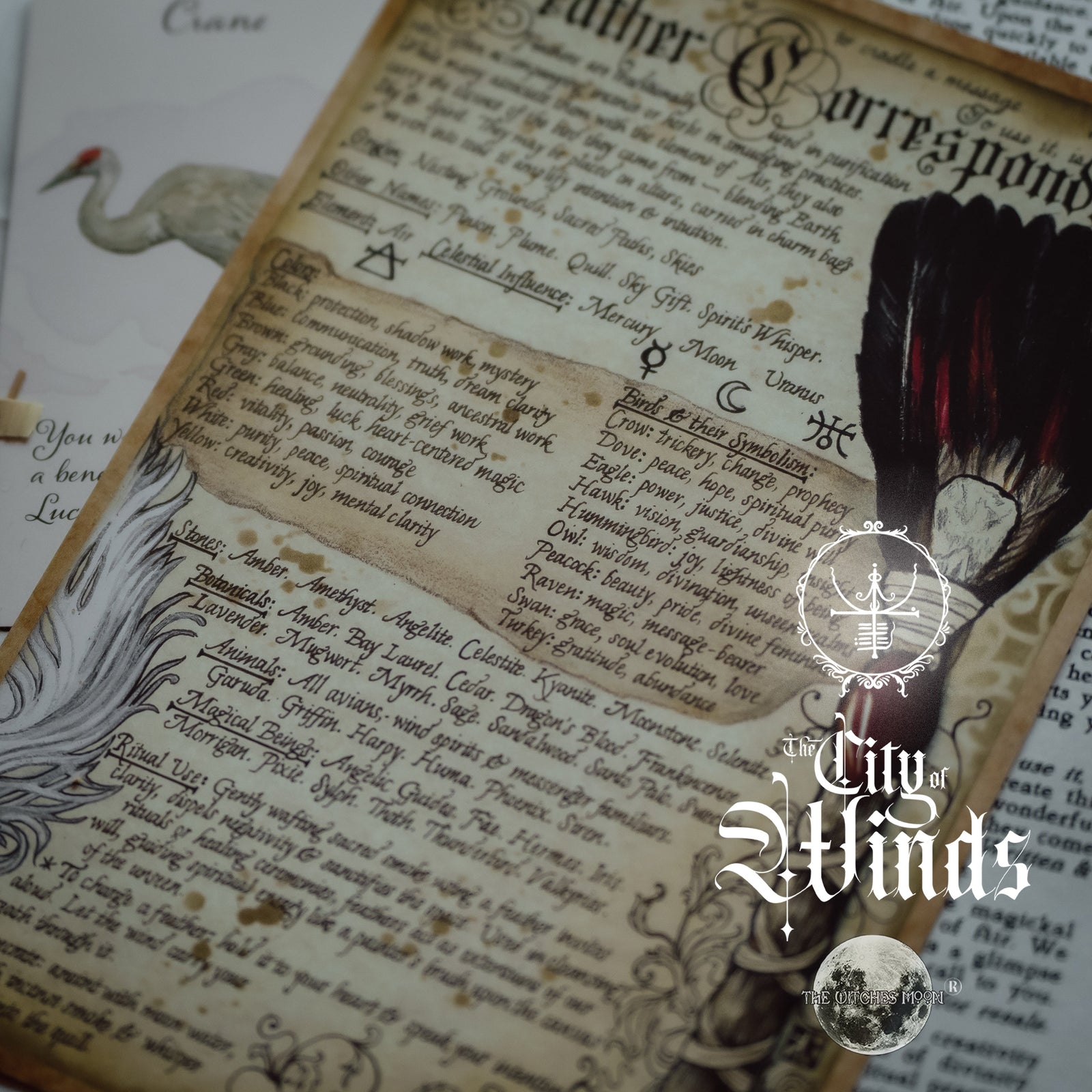 (Limited) The Witches Moon® ~  The City of Winds ~  May 2025